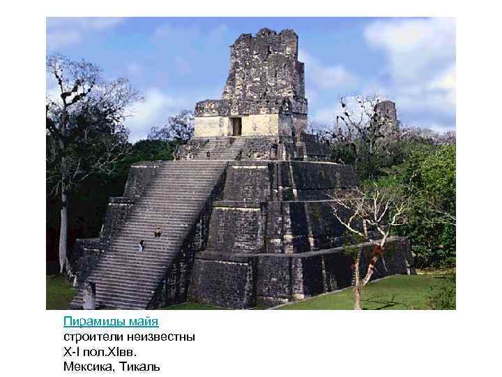 Пирамиды майя строители неизвестны X-I пол. XIвв. Мексика, Тикаль 