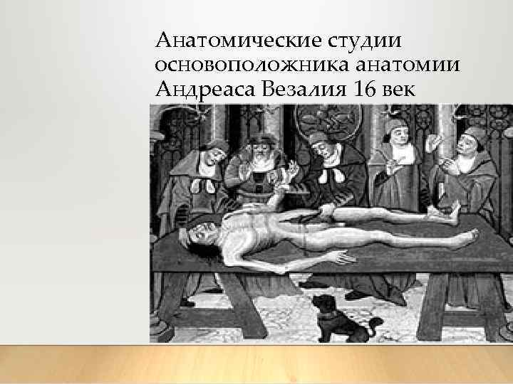 Анатомические студии основоположника анатомии Андреаса Везалия 16 век 