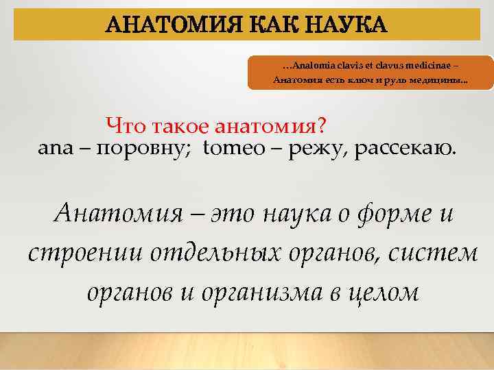 АНАТОМИЯ КАК НАУКА …Analomia clavis et clavus medicinae – Анатомия есть ключ и руль