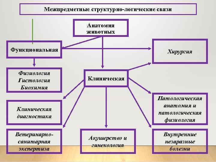 Межпредметные структурно-логические связи Анатомия животных Функциональная Физиология Гистология Биохимия Хирургия Клиническая Патологическая анатомия и