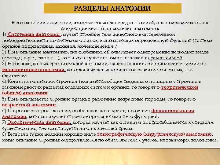 РАЗДЕЛЫ АНАТОМИИ В соответствии с задачами, которые ставятся перед анатомией, она подразделяется на следующие
