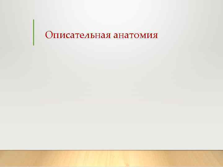Описательная анатомия 