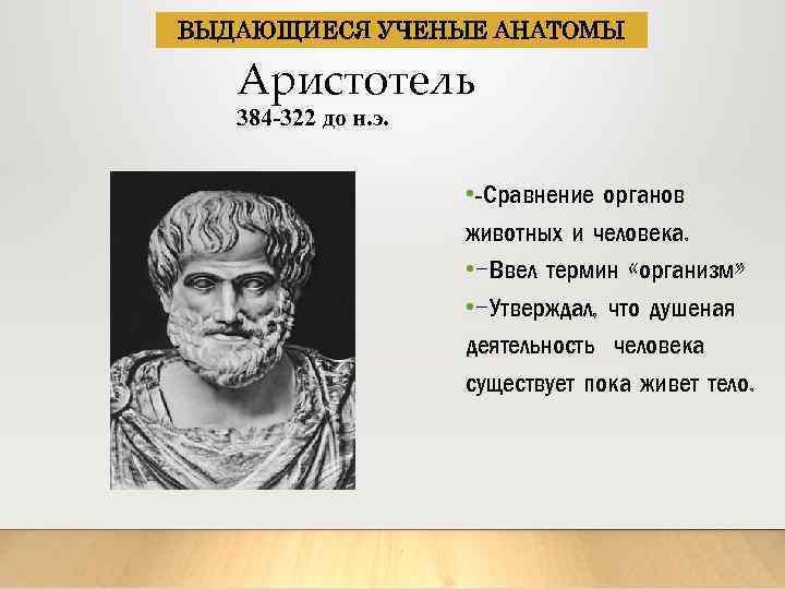 ВЫДАЮЩИЕСЯ УЧЕНЫЕ АНАТОМЫ Аристотель 384 -322 до н. э. • -Сравнение органов животных и
