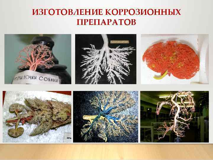 ИЗГОТОВЛЕНИЕ КОРРОЗИОННЫХ ПРЕПАРАТОВ 