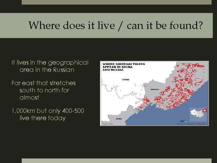 Where does it live / can it be found? It lives in the geographical