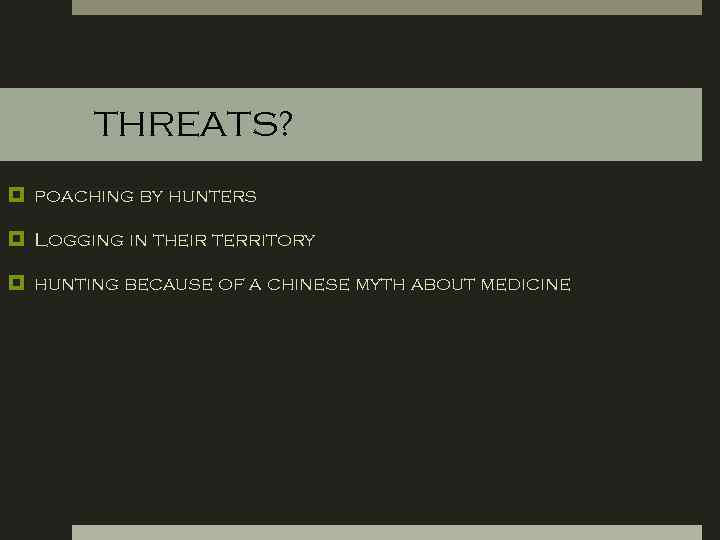 THREATS? poaching by hunters Logging in their territory hunting because of a chinese myth