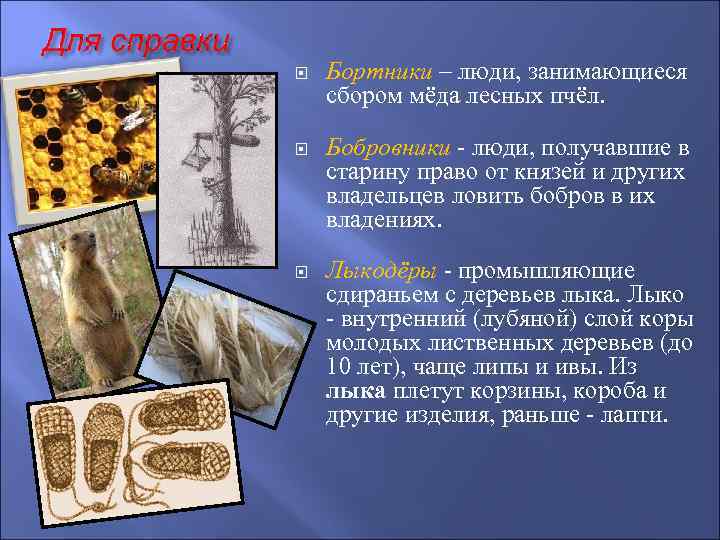  Бортники – люди, занимающиеся сбором мёда лесных пчёл. Бобровники - люди, получавшие в