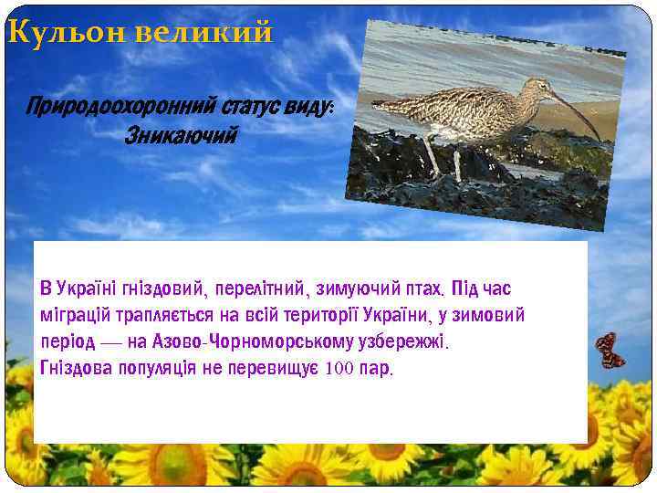 Кульон великий Природоохоронний статус виду: Зникаючий В Україні гніздовий, перелітний, зимуючий птах. Під час