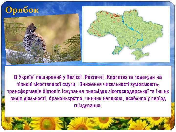 Орябок В Україні поширений у Поліссі, Розточчі, Карпатах та подекуди на півночі лісостепової смуги.