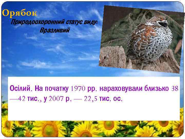 Орябок Природоохоронний статус виду: Вразливий Осілий. На початку 1970 рр. нараховували близько 38 —