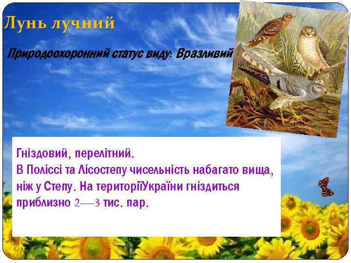 Лунь лучний Природоохоронний статус виду: Вразливий Гніздовий, перелітний. В Поліссі та Лісостепу чисельність набагато