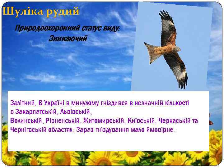 Шуліка рудий Природоохоронний статус виду: Зникаючий Залітний. В Україні в минулому гніздився в незначній