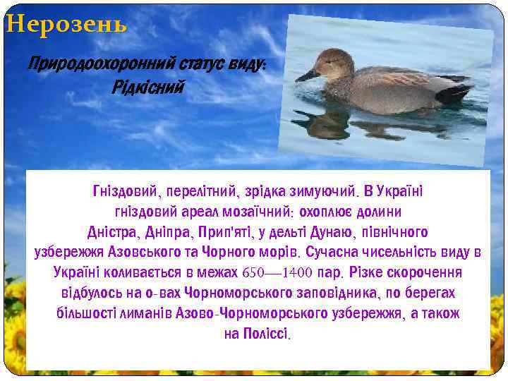 Нерозень Природоохоронний статус виду: Рідкісний Гніздовий, перелітний, зрідка зимуючий. В Україні гніздовий ареал мозаїчний: