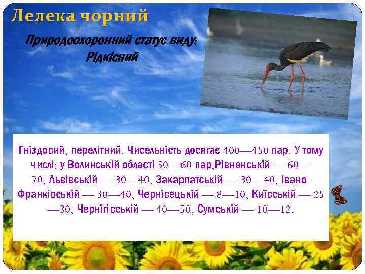 Лелека чорний Природоохоронний статус виду: Рідкісний Гніздовий, перелітний. Чисельність досягає 400— 450 пар. У