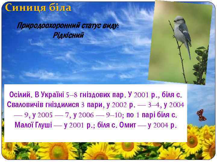 Синиця біла Природоохоронний статус виду: Рідкісний Осілий. В Україні 5– 8 гніздових пар. У