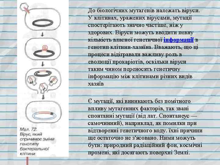 До біологічних мутагенів належать віруси. У клітинах, уражених вірусами, мутації спостерігають значно частіше, ніж