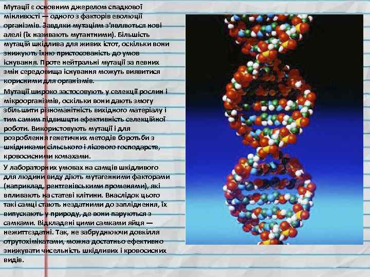 Мутації є основним джерелом спадкової мінливості — одного з факторів еволюції організмів. Завдяки мутаціям