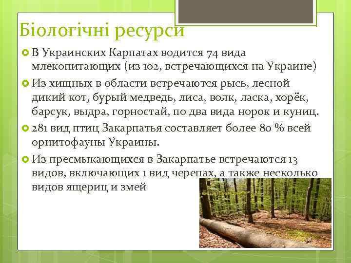 Біологічні ресурси В Украинских Карпатах водится 74 вида млекопитающих (из 102, встречающихся на Украине)
