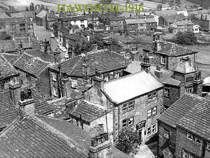 HAWORTH-1916 