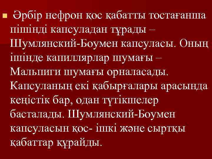 n Әрбір нефрон қос қабатты тостағанша пішінді капсуладан тұрады – Шумлянский-Боумен капсуласы. Оның ішінде