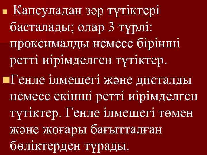 Капсуладан зәр түтіктері басталады; олар 3 түрлі: проксималды немесе бірінші ретті иірімделген түтіктер. n.