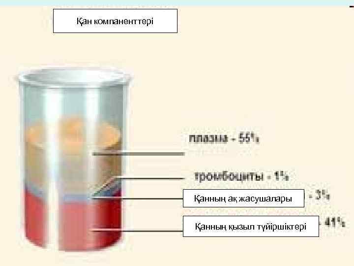 Қан компаненттері Қанның ақ жасушалары Қанның қызыл түйіршіктері 