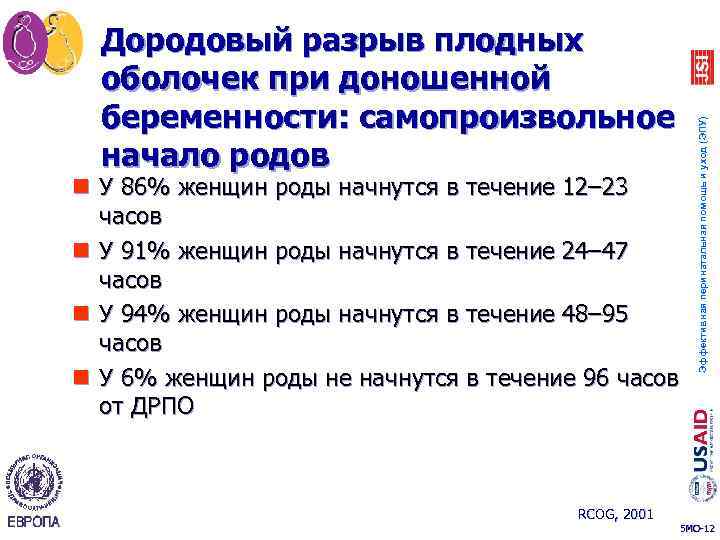 n У 86% женщин роды начнутся в течение 12– 23 часов n У 91%