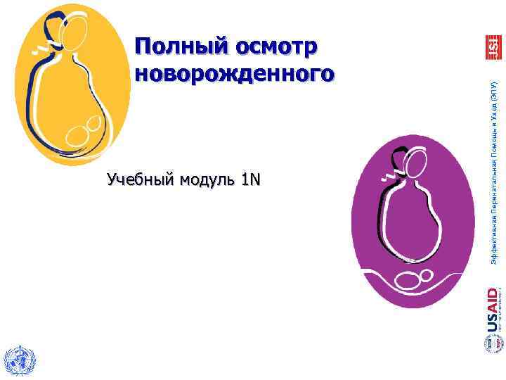 Учебный модуль 1 N Эффективная Перинатальная Помощь и Уход (ЭПУ) Полный осмотр новорожденного 