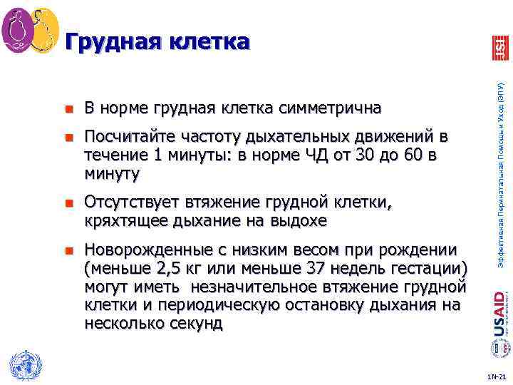 n В норме грудная клетка симметрична n Посчитайте частоту дыхательных движений в течение 1