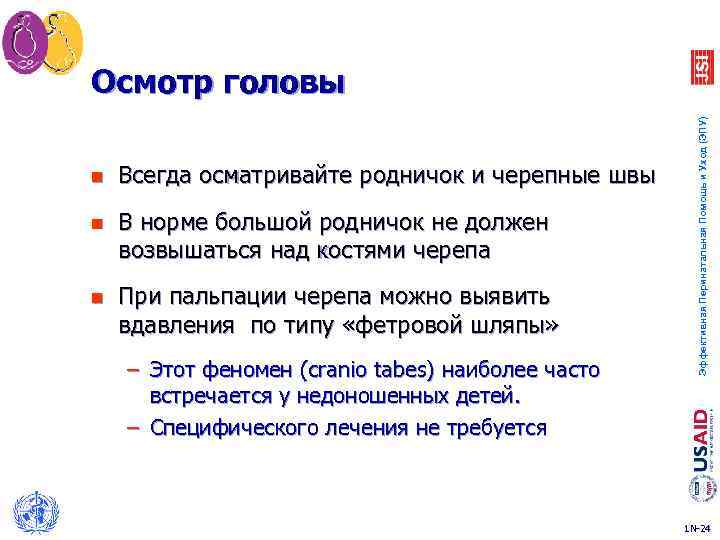 n Всегда осматривайте родничок и черепные швы n В норме большой родничок не должен