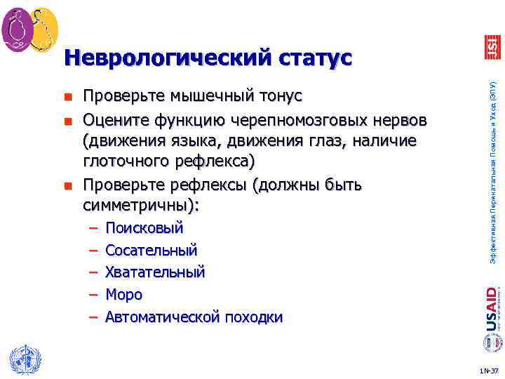 n n n Проверьте мышечный тонус Оцените функцию черепномозговых нервов (движения языка, движения глаз,