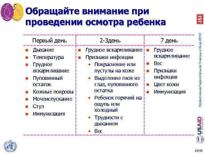 Первый день n n n n Дыхание Температура Грудное вскармливание Пуповинный остаток Кожные покровы