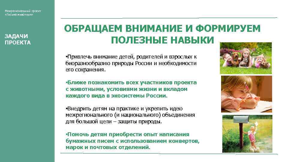 Межрегиональный проект «Письма животным» ЗАДАЧИ ПРОЕКТА ОБРАЩАЕМ ВНИМАНИЕ И ФОРМИРУЕМ ПОЛЕЗНЫЕ НАВЫКИ • Привлечь