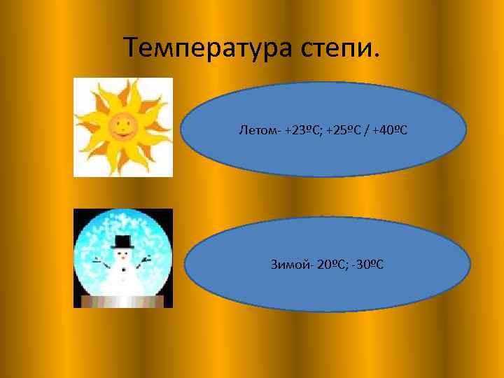 Температура степи. Летом- +23ºС; +25ºС / +40ºС Зимой- 20ºС; -30ºС 