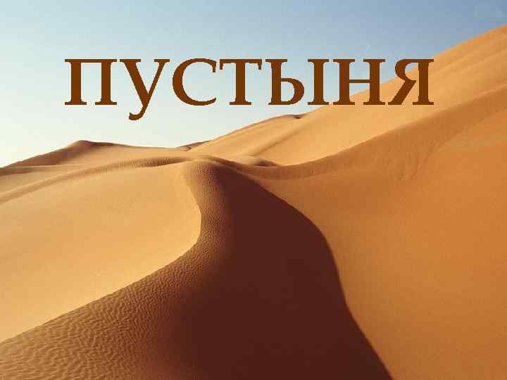 ПУСТЫНЯ 