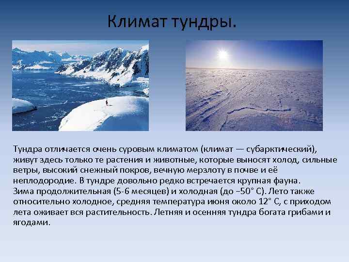 Сообщение о арктических пустынях. Климат тундры. Зона арктических пустынь климатические условия.