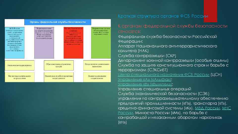 Краткая структура органов ФСБ России К органам федеральной службы безопасности относятся: Федеральная служба безопасности