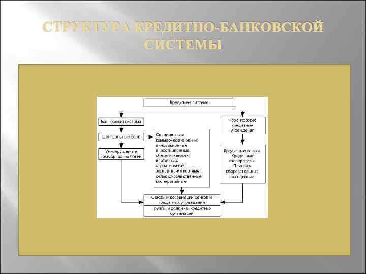 СТРУКТУРА КРЕДИТНО-БАНКОВСКОЙ СИСТЕМЫ 