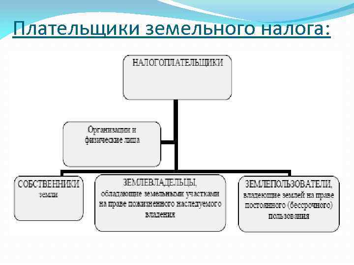 Налогоплательщик графическое изображение сущности