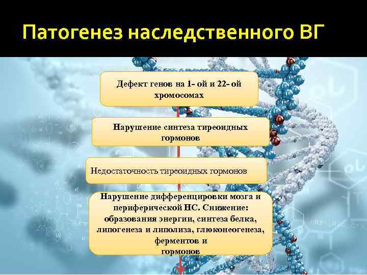 Патогенез наследственного ВГ Дефект генов на 1 - ой и 22 - ой хромосомах