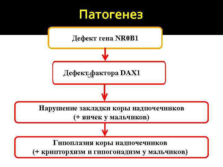 Патогенез Дефект гена NR 0 B 1 Дефект. Da фактора DAX 1 Нарушение закладки