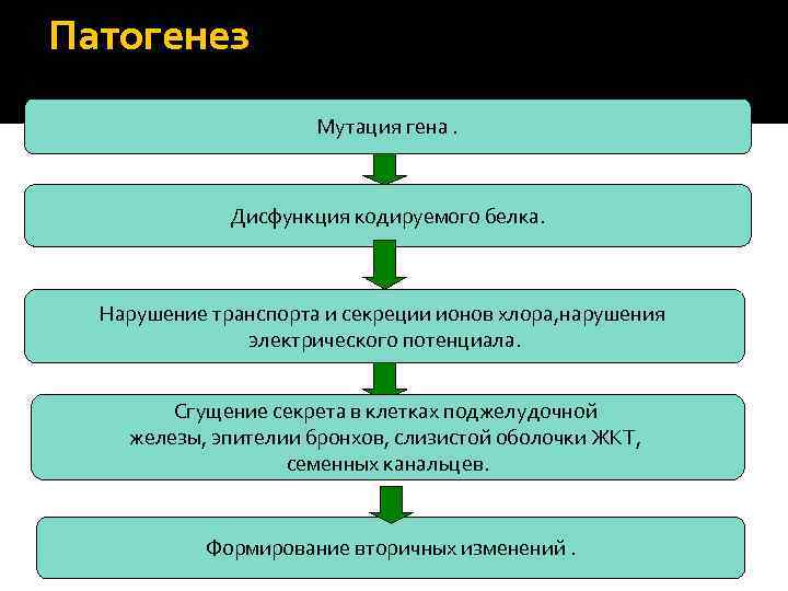 Патогенез Мутация гена. Дисфункция кодируемого белка. Нарушение транспорта и секреции ионов хлора, нарушения электрического