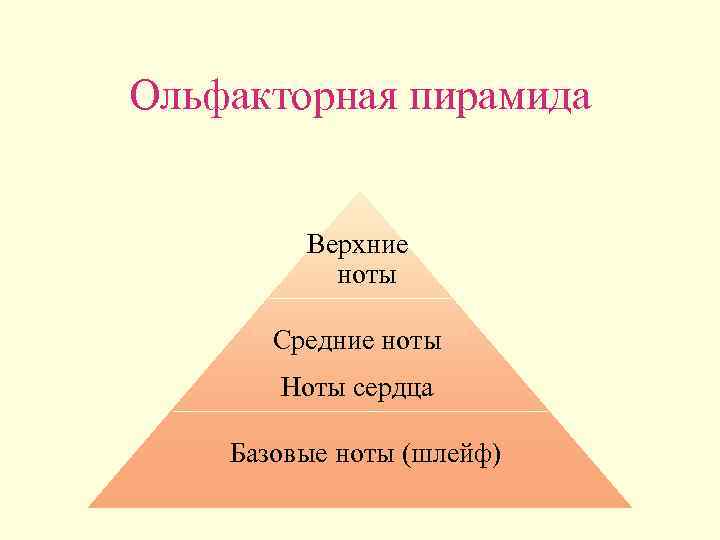 Ольфакторная пирамида Верхние ноты Средние ноты Ноты сердца Базовые ноты (шлейф) 