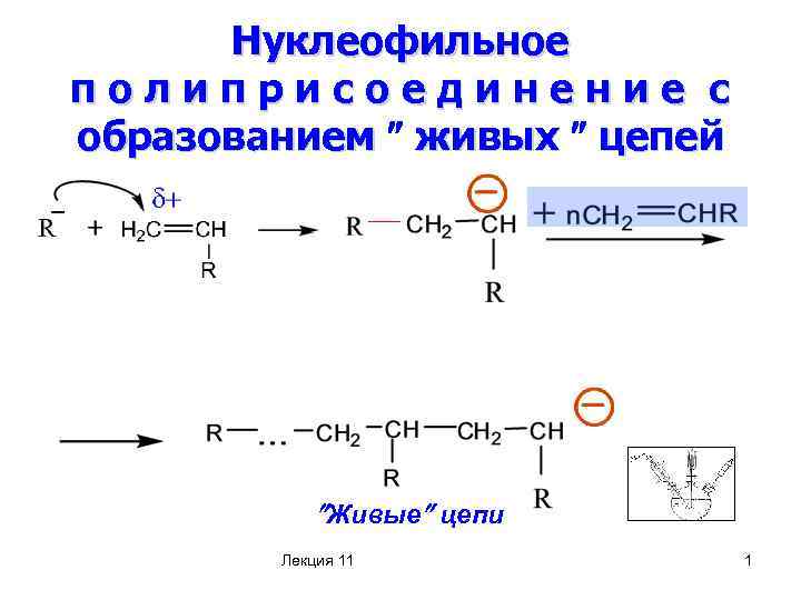 Нуклеофильное полиприсоединение с образованием живых цепей Живые цепи Лекция 11 1 
