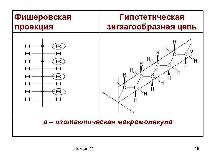 Фишеровская проекция Гипотетическая зигзагообразная цепь а а – изотактическая макромолекула Лекция 11 19 
