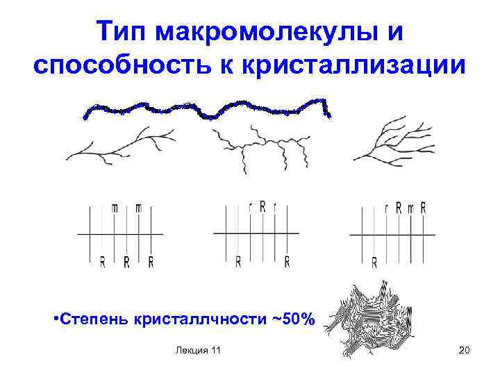 Тип макромолекулы и способность к кристаллизации • Степень кристаллчности ~50% Лекция 11 20 