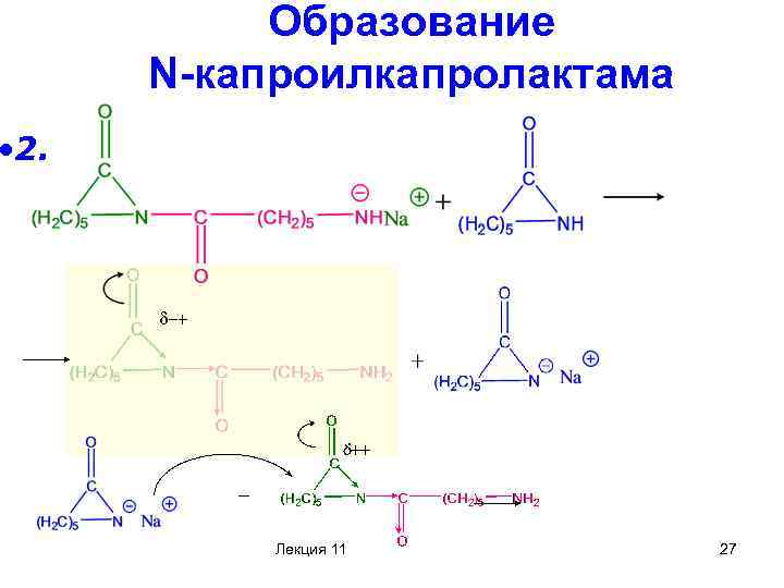 Образование N-капроилкапролактама • 2. Лекция 11 27 
