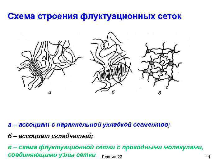 Схема строения флуктуационных сеток а – ассоциат с параллельной укладкой сегментов; б – ассоциат