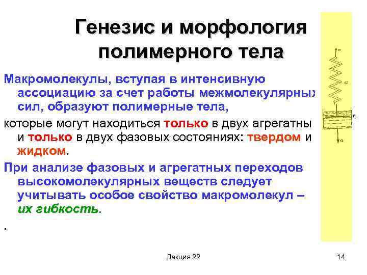 Генезис и морфология полимерного тела Макромолекулы, вступая в интенсивную ассоциацию за счет работы межмолекулярных