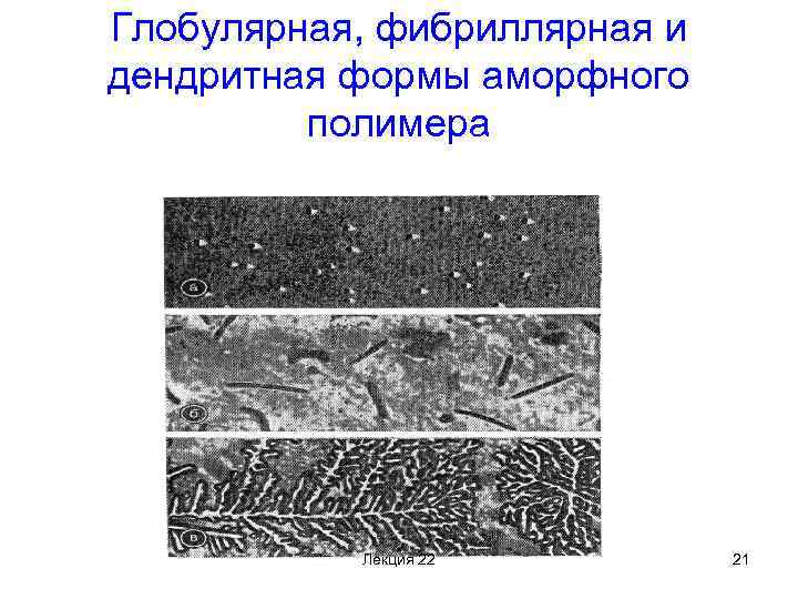 Глобулярная, фибриллярная и дендритная формы аморфного полимера Лекция 22 21 